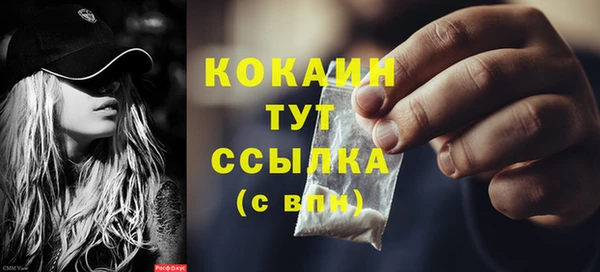 крисы Белокуриха
