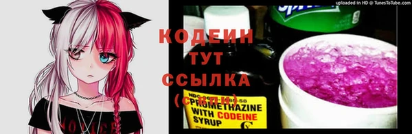 крисы Белокуриха