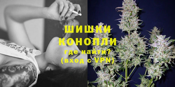 крисы Белокуриха