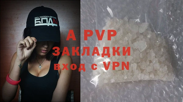 крисы Белокуриха
