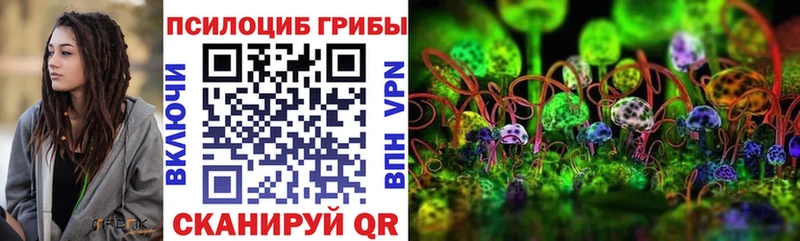Псилоцибиновые грибы GOLDEN TEACHER  Пионерский 